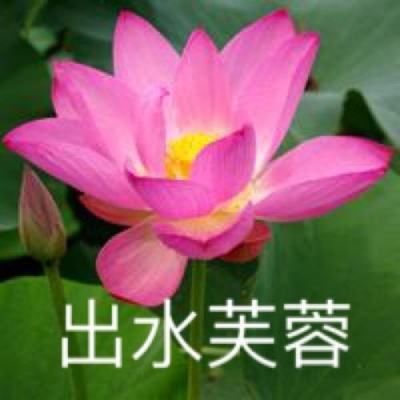 混沌战歌手游官方